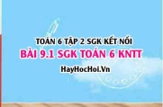 Bài 9.1 SGK Toán 6 tập 2 Kết nối tri thức